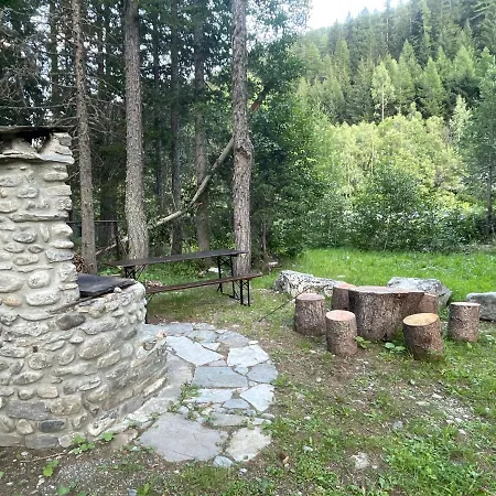 Wildhomes Wild Wolf Курмайор