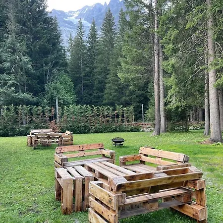 Wildhomes Wild Wolf * Курмайор