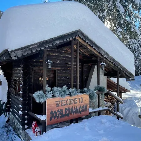 Wildhomes Wild Wolf * Курмайор