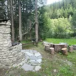Wildhomes Wild Wolf كورمايور