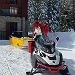 Wildhomes Wild Wolf