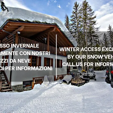 Wildhomes Wild Wolf Apartment *