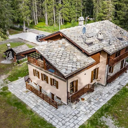 Wildhomes Wild Wolf Apartment