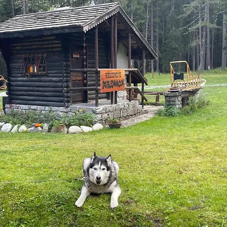 Wildhomes Wild Wolf