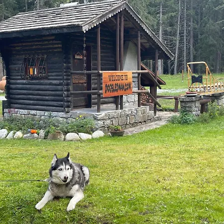 Apartmán Wildhomes Wild Wolf *