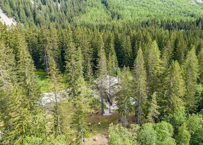 Wildhomes Wild Wolf *