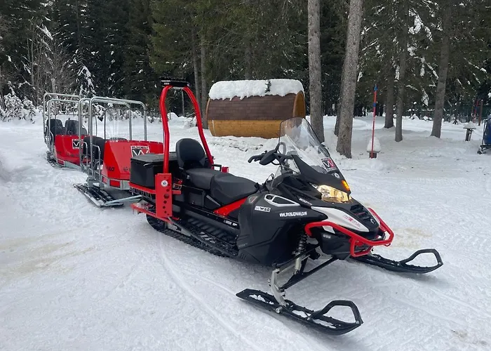 Wildhomes Wild Wolf Lejlighed Courmayeur